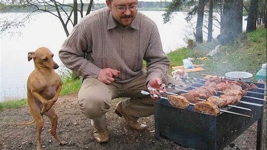 Unspoken Dog and Owner Moments That Will Make You Laugh