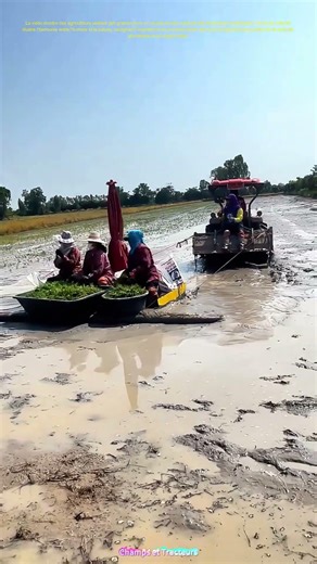 Semeurs en action : Comment la tradition agricole nourrit les générations