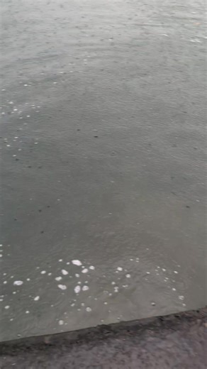 Today's stocking of bottom pool | Arran View Fishery