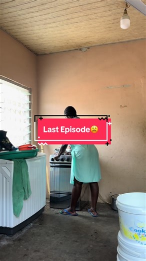 Caring for My Dogs: Last Episode Highlights