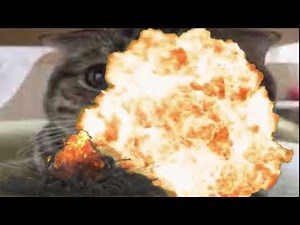 Cat Explodes for 10 hours