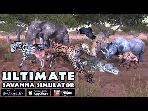 Zebra VS Cheetah Lion Crocodile Hippo Rhino Elephant Impala Warthog Cheetah