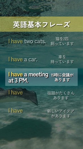 【英語基本フレーズ No.045】I have ～. （～を持っています）