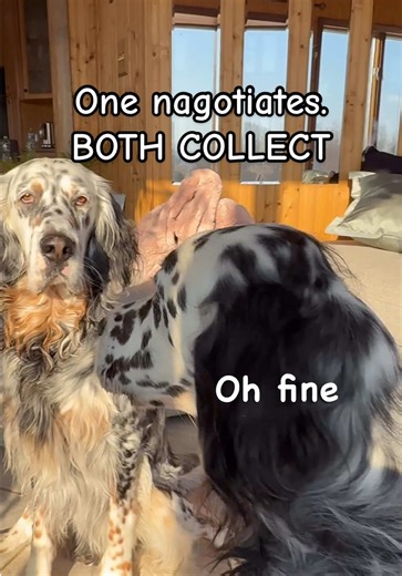 Belisarius: An Inspirational Tale of Reward and Loyalty