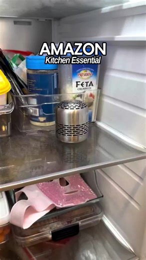 Purriko Refrigerator Deodorizer #creatorsearchinsights #contentgap #kitchenware #storeexploration #amazonfinds
