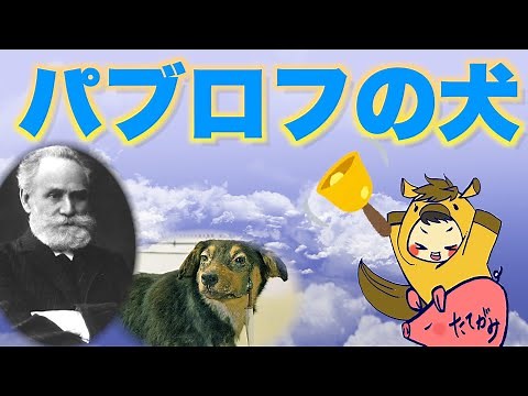 行動の科学の原点「パブロフの犬」を解説！〜レスポンデント条件づけ①