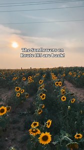 9.5K views · 1.2K reactions | You can find them on Route 183 near Blue Marsh. If you are coming from Reading, they’ll be on your left  | Berks County Views | Facebook