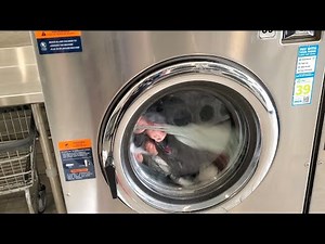 Dexter commercial front load washer