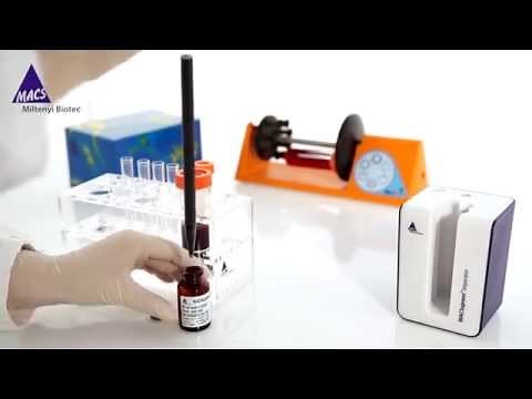 Fast Cell Isolation from Whole Blood with MACSxpress Technology