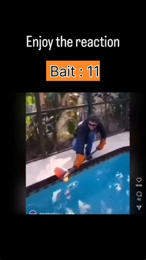 dishebh on Instagram: "@dailyredshell"