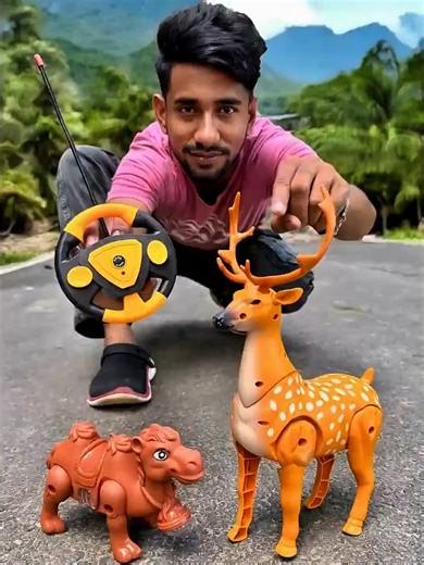 Discovering Remote Control Camel and Deer Toys