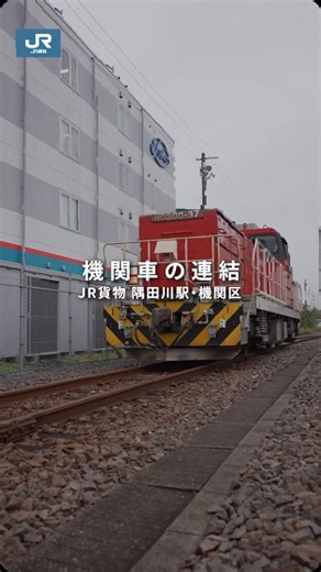 JR貨物【公式】 on Instagram: "JR貨物の隅田川駅・機関区で撮影した入換機関車の連結作業の様子をご紹介します✨ ※入換機関車とは、入換作業時に使用される機関車のこと 熟練のスタッフが声を掛け合いながら、安全第一で進められる連結作業。進行方向を切り替えるための操作や、 運転席を移動せずに効率的に進む作業工程など、貨物鉄道ならではの工夫が詰まっています。 貨物輸送を支える現場の舞台裏を、ぜひご覧ください！ 📍 JR貨物 隅田川駅・機関区 #jr貨物#貨物駅の風景#貨物列車紹介#貨物鉄道の魅力#貨物鉄道#貨物鉄道写真部 #隅田川駅#隅田川機関区"