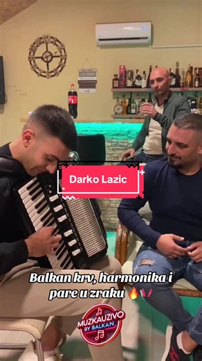 Darko dominira na harmonici u Balkan muzici!