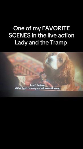One of My Favorite Scenes in the Live-Action Lady and the Tramp