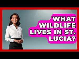What Wildlife Lives In St. Lucia? - The Caribbean Expert