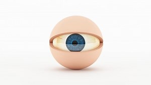 3d Rendering Cartoon Eye Ball Blinking Stock Footage Video (100% Royalty-free) 1037818826 | Shutterstock