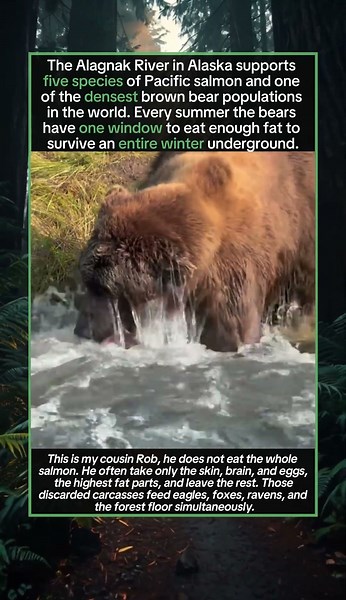 This Is What a 700-Pound Fisher Looks Like