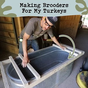 What's My Morning Routine On The Homestead?☀️ | Sow the Land