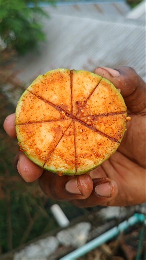 Guava {Spicy} Masala 🌶️|| Guava Pickle 🤤||