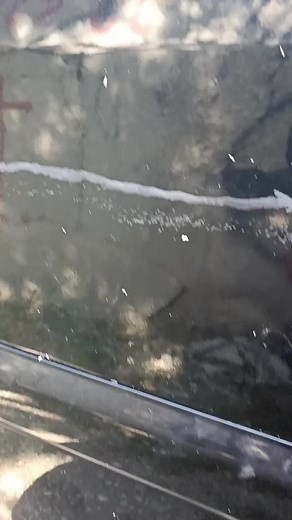 პაწიოკებთან ბრძოლა😟😤591511906#foryou