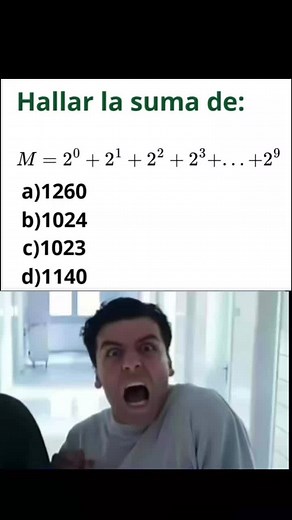 Suma de la serie 2^0 2^1 ... 2^9 — cómo calcularla