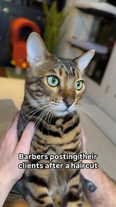 That’s a nice cut G! 💈 | Mickey & Mort