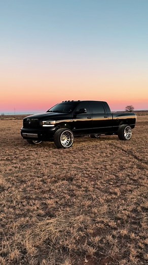 Exploring the Power of Pimpin with American Force