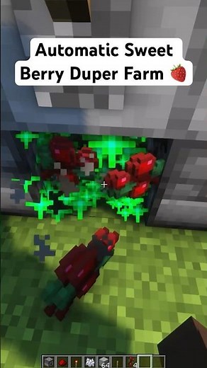 Automatic Sweet Berry Duplication Farm in Minecraft #viral #minecraftfarm #minecrafttutorial