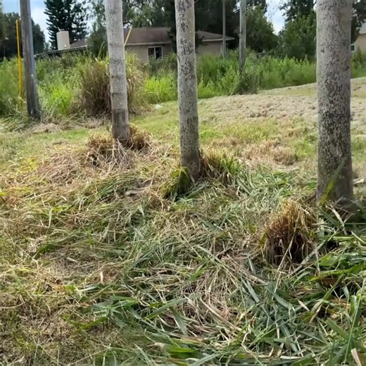 13K views · 118 reactions | I HAD TO CALL THE COPS while mowing this RANDOM STRANGERS neglected yard for FREE! Part 2 | Lawn Care Services | Facebook