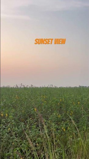SUNSET VIEWS || VILLAGE FIELD || NATURE LOVE