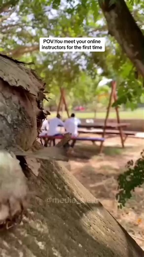 Throwback to a physical community event that happend on 22 December,2023. at Legon Botanica Garden The event was organized for our learners to meet their trainers and coaches. There was a lot fun activities: Q&A Session ,Canopy walk, meet and greet, picture session, high robe course