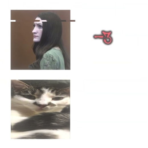 ib: @Miss_snowiee | cat edit😾 | song: meow boss | #4k #edit #60fps #cat