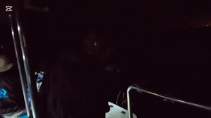 37K views · 407 reactions | What a sizer of a musselcracker | Simply the Best Fishing Charters South Africa | Facebook