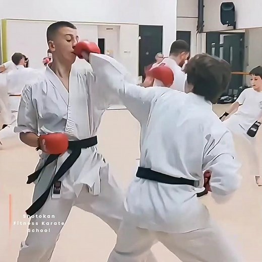 Dojo Karate Training Shotokan - Oss 👊
