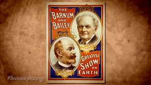 39K views · 701 reactions | 3 Unbelievable Sideshow "Freaks" | #SERIOUSLYSTRANGE For some, freak is a title worn with pride. As it should be. | Rob Gavagan | Facebook