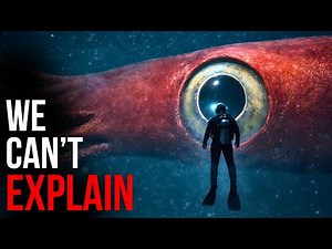 The Colossal Squid Makes No Sense