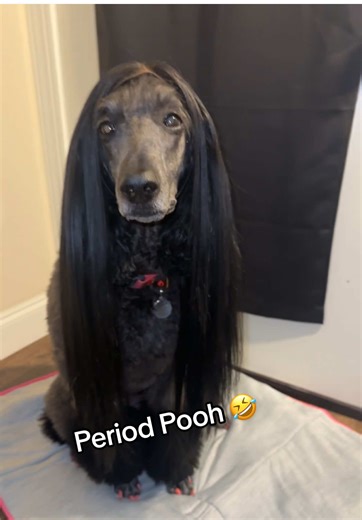 Delicious Thanksgiving Mac & Cheese Inspired by Zoey 101