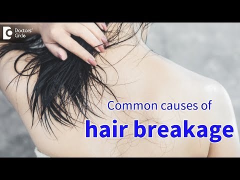 Common causes of hair breakage - Dr. Rasya Dixit