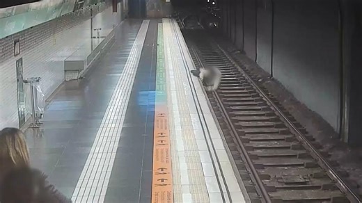 Una mossa y dos pasajeros rescatan a un hombre que había caído a la vía del metro en Barcelona