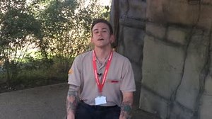 We have some exciting news to share with you Adventurers, our troop of Western Lowland gorillas have welcomed a new baby! Yesterday morning, mother Shanga, gave birth. We are still waiting to find out the sex to then name the little one, but we will keep you posted. This is early days and a sensitive time as mother and baby bond, however they are both currently doing well and we wanted to ensure you, our Adventurers, were first to know. | Chessington World of Adventures Resort