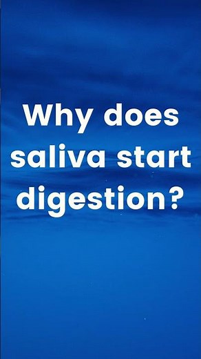 Why Does Digestion Start in the Mouth? Role of Saliva | Biology Shorts