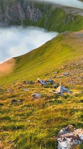 Soulful Islamic Background Music for Most Beautiful Islamic Instrumental #islamicvideo #islamic