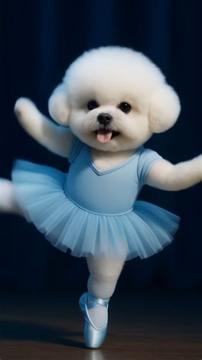 Bandly_Pet on Instagram: "Whose puppy dances ballet so beautifully?#dog #doglover #dogdance #cutedog #ballet #puppy #bichon #dogvideo #dogphotography #petphotography #dogpainting #petportrait"