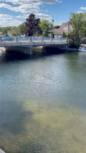 Downtown Bobcaygeon 🇨🇦 #nostalgia #80smusic #music #nature