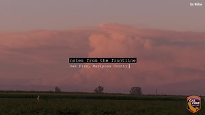 13K views · 397 reactions | Check out this new “Notes from the...