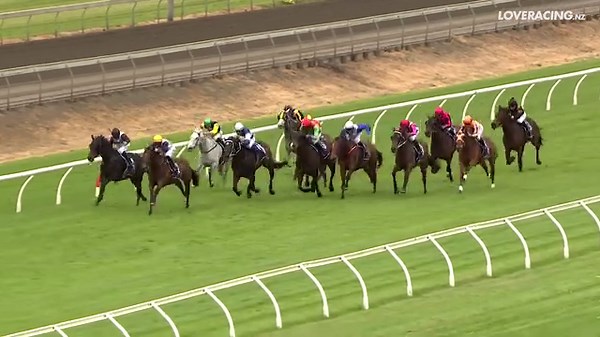 Gee Cee and Sam Spratt prevail in an exciting finish to the NZB Ready To Run Trainers Series 1500 at Pukekohe this afternoon, the Stephen Marsh-trained six-year-old catching a game Devastate at the post from Gino Severini 🏇 👏 | LOVERACING.NZ