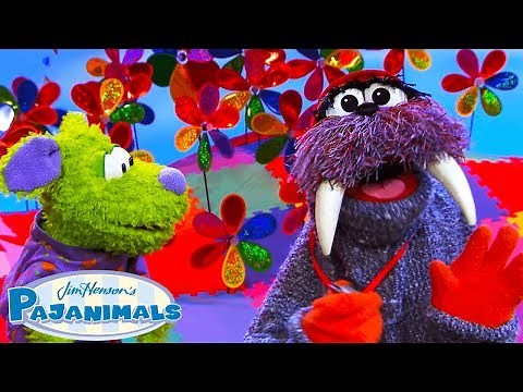 Let's Play Pajama Tag! | Pajanimals