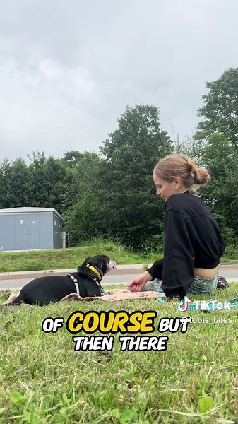 Tobis Tales on TikTok