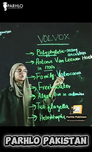 Amoeba vs Volvox | Class 9 Biology | Sindh Board #shorts #sindhboard