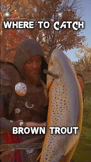 Where To Catch A Brown Trout In Assassin's Creed Valhalla #assassinscreed #shorts #trending #fishing